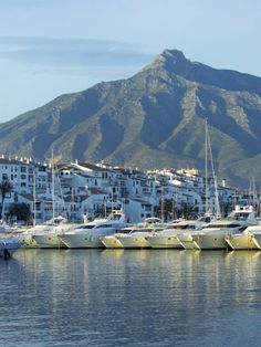 Puerto Banus
